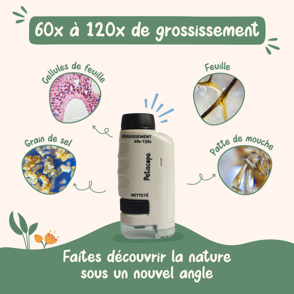 🔬 Le Mini Microscope Explorateur