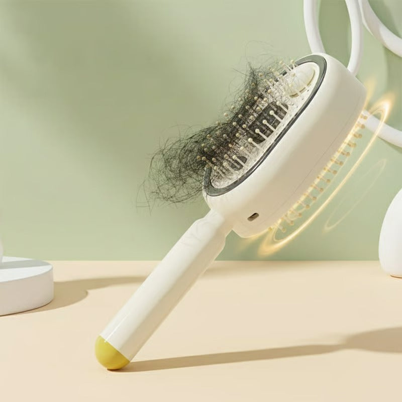 BrossHair™ - Brosse à vapeur innovante