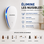 Finissez-en avec les Punaises de Lit en 7 Jours, Sans Chimie