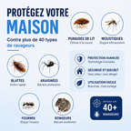 Finissez-en avec les Punaises de Lit en 7 Jours, Sans Chimie