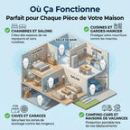 Finissez-en avec les Punaises de Lit en 7 Jours, Sans Chimie