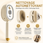 BrossHair™ - Brosse à vapeur innovante