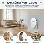 Finissez-en avec les Punaises de Lit en 7 Jours, Sans Chimie