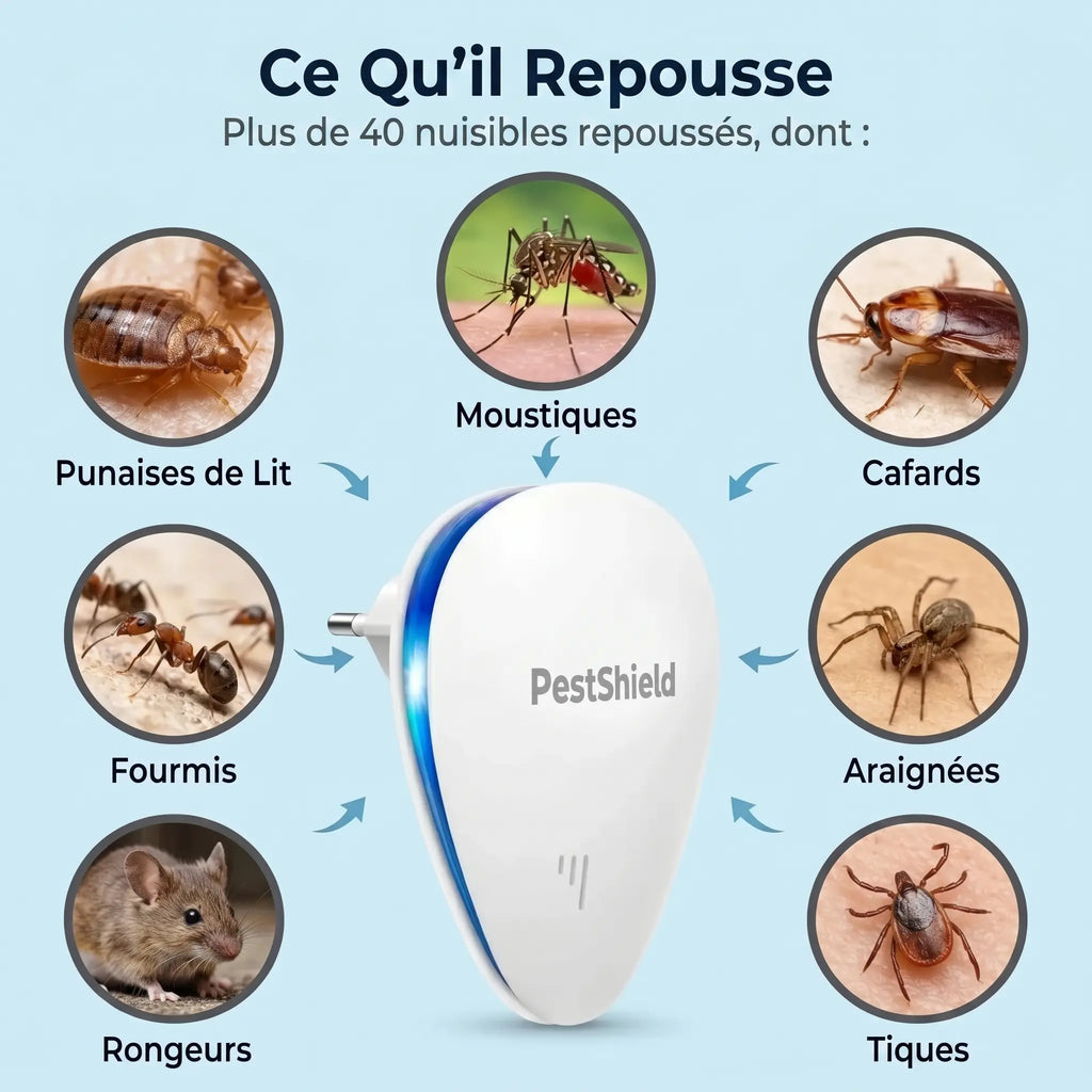 Finissez-en avec les Punaises de Lit en 7 Jours, Sans Chimie
